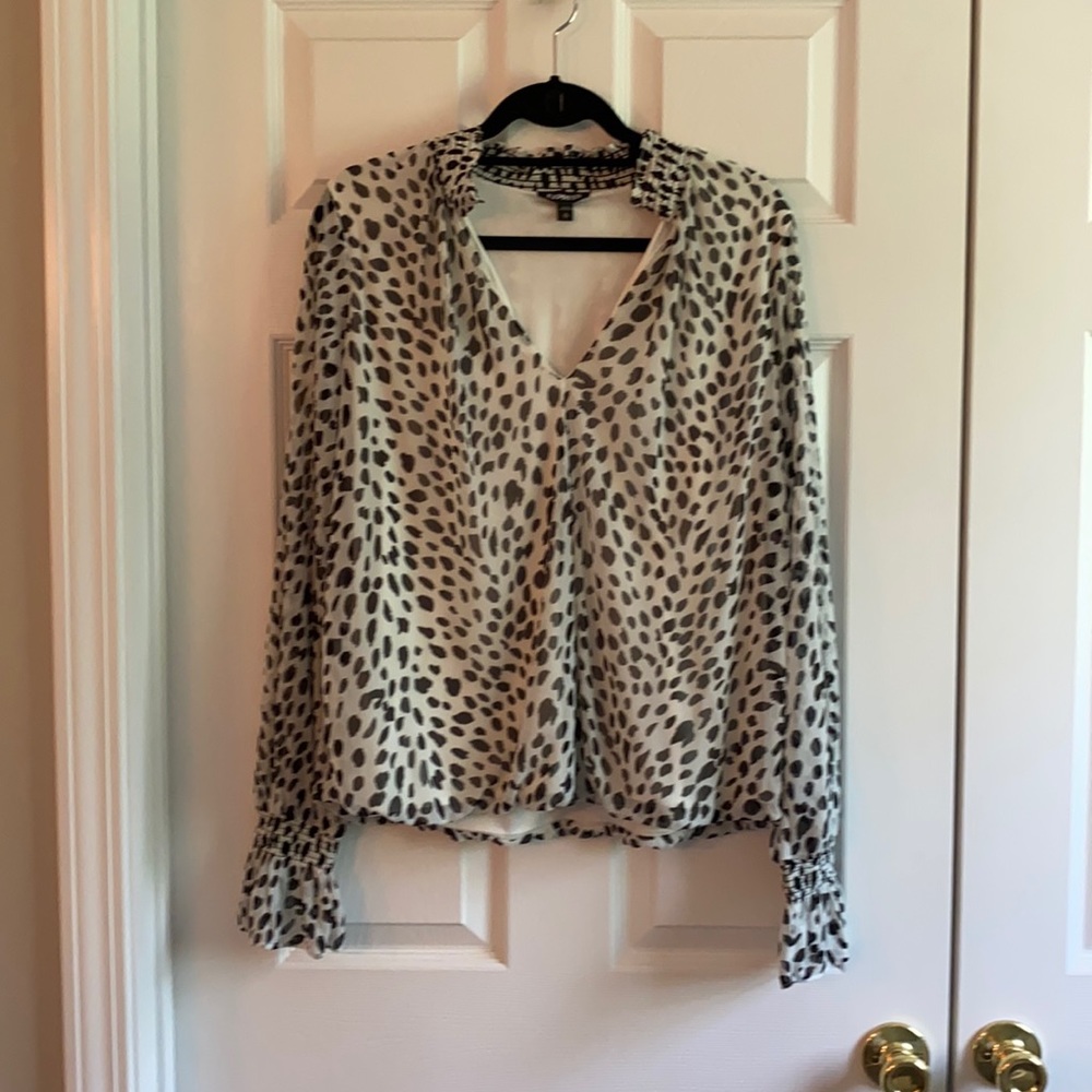 Sheer long sleeved blouse